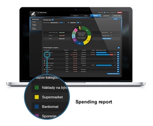 Spending report