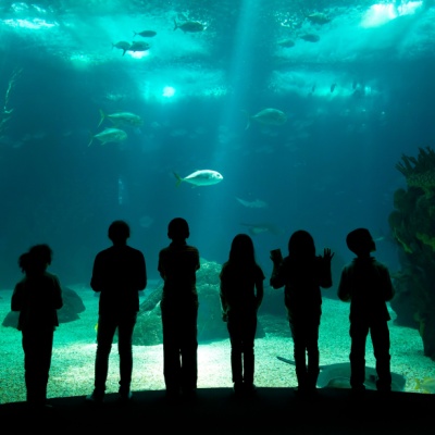 Denné limity dieťaťu zmeníte kedykoľvek v Rodičovskej zóne. | Tatra banka deti sledujú ryby v akváriu