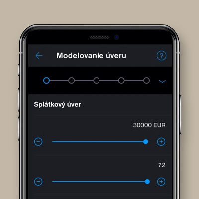Online podnikateľský úver - modelovanie v aplikácii