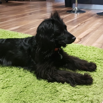 IDENTIQ má vlastný štýl riadenia medzi Scrumom a Kanbanom | Osobný archív Pavol Ondráš kreativne studio identiq