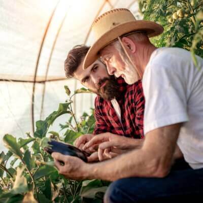 Rodinný podnik | Tatra banka evidencia rodinneho podniku