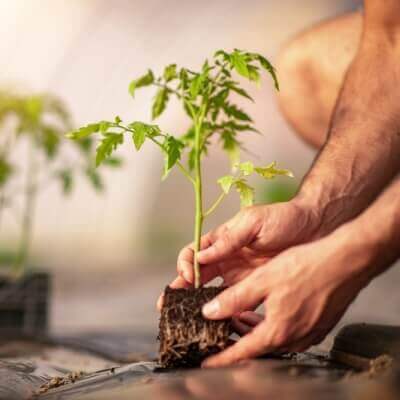 Podmienky po registrácii rodinného podniku | Tatra banka podmienky registracie rodinneho podniku