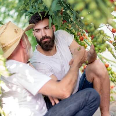 Inštitút rodinnej rady nemusí mať každá firma | Tatra banka rodinna rada