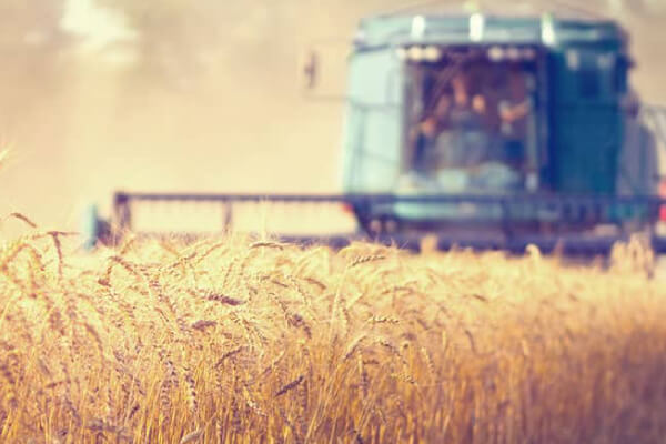 Najvhodnejší typ agrofinancovania pre vaše podnikanie Najvhodnejší typ agrofinancovania pre vaše podnikanie