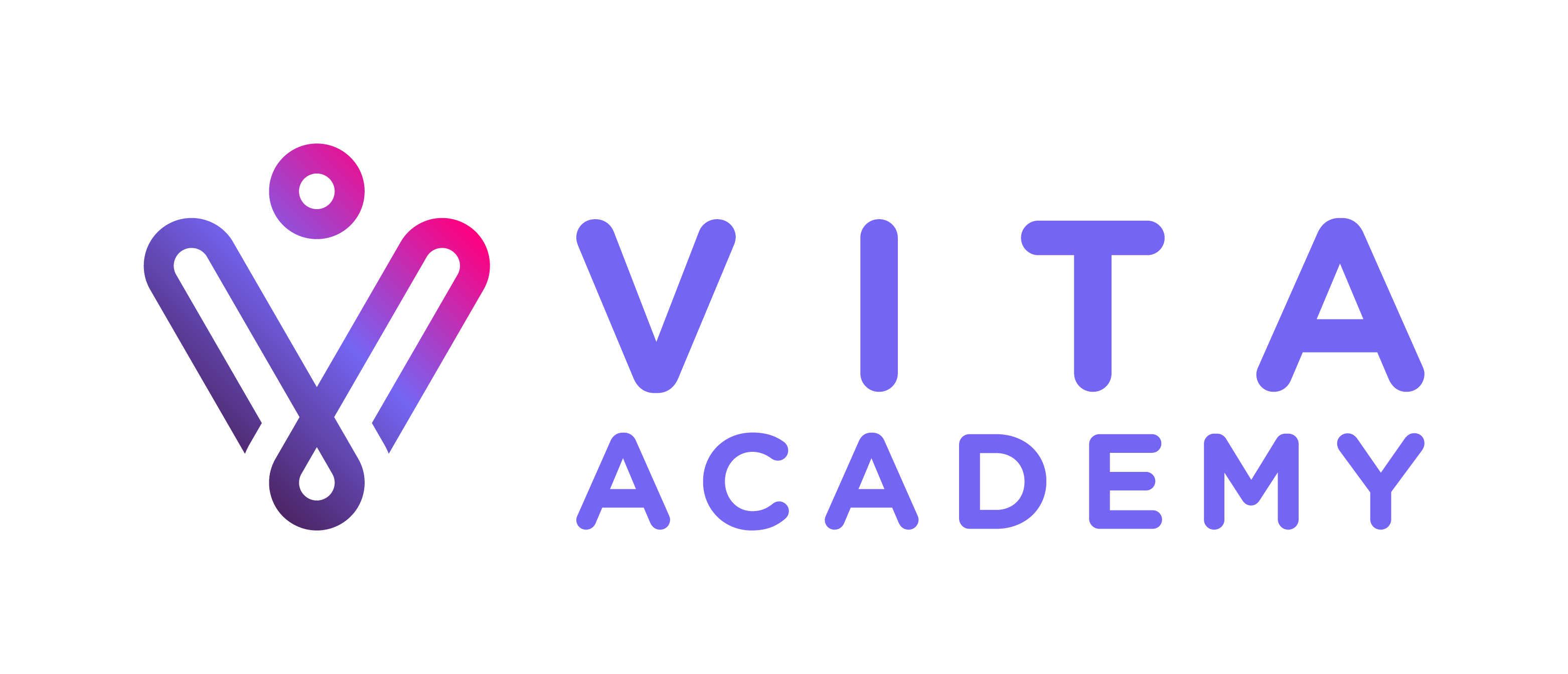 VITA Academy
