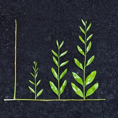 esg investovanie skore