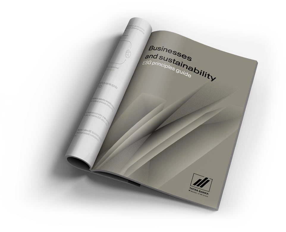 Businesses and sustainability: ESG principles guide — publication